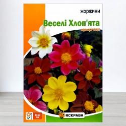 Насіння жоржин Веселі Хлоп'ята, 2г, ТМ Яскрава
